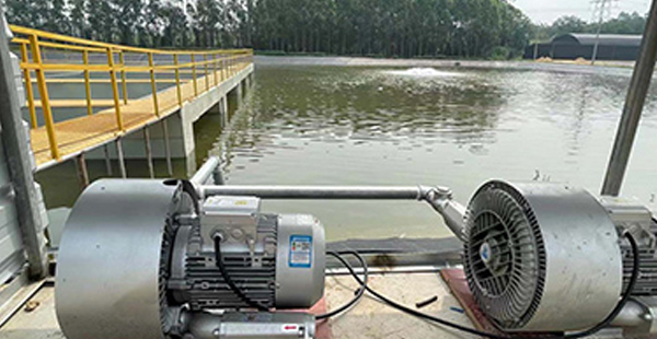 工廠化水產(chǎn)養(yǎng)殖設備品牌定位案例分析