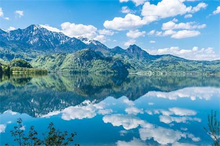 爆文800萬學(xué)區(qū)房帶給文案的思考